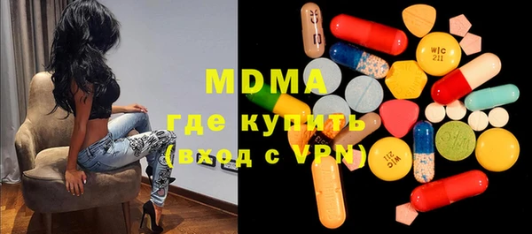 гашик Алексин