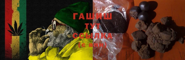 гашик Алексин