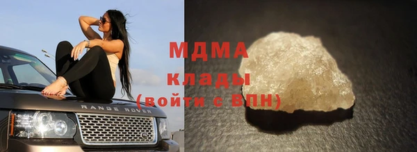 гашик Алексин