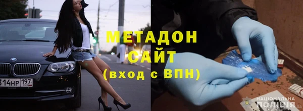 гашик Алексин