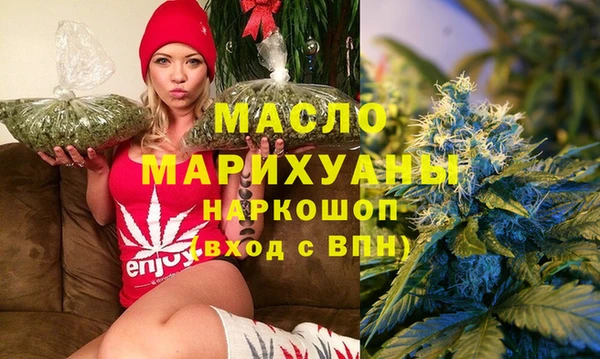 гашик Алексин