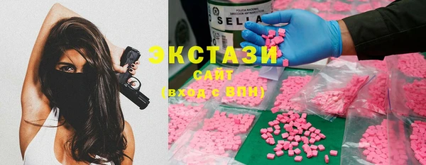 гашик Алексин