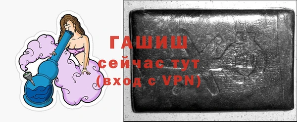 гашик Алексин