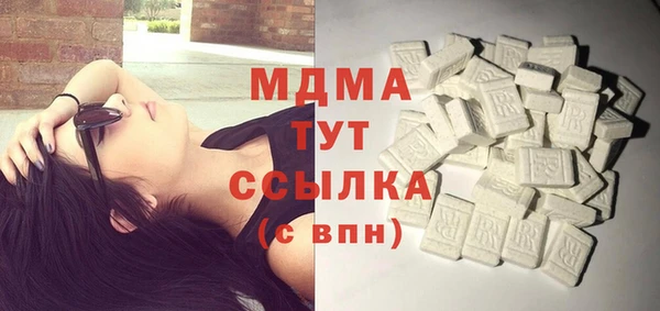гашик Алексин